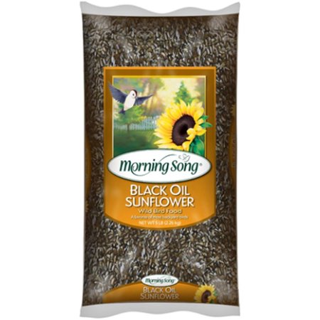 MORNING SONG Morning Song 11997 5 lbs Black Oil Sunflower Wild Bird Seed Foods - Pack of 6 11997